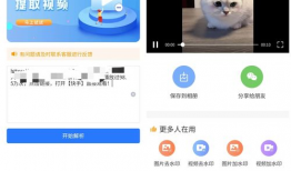 短视频下载无水印,轻松保存心仪内容